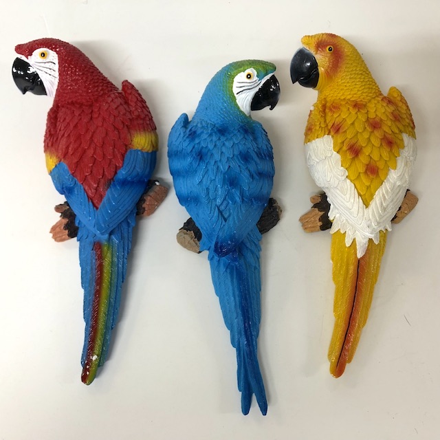 BIRD, Parrot Assorted Colours - Resin 30cm